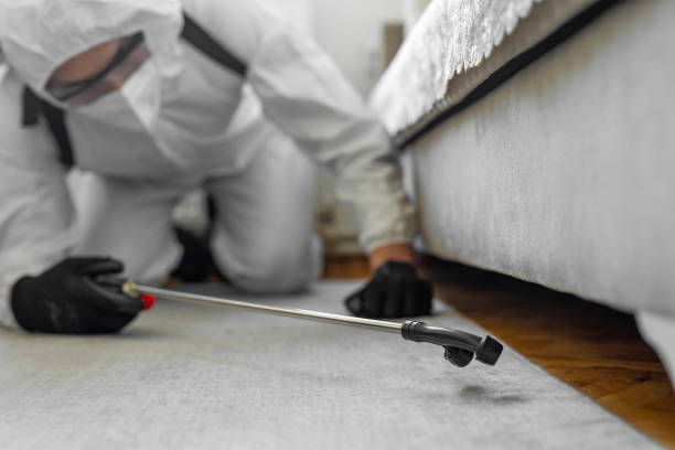Professional Termite Control technician working in Dixon, IL