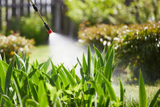 24/7 Emergency Termite Control experts in Dixon, IL
